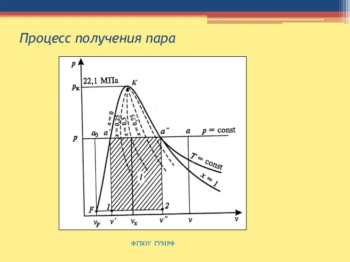 Процесс получения пара ФГБОУ ГУМРФ