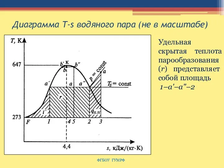 Диаграмма Т-s водяного пара (не в масштабе) ФГБОУ ГУМРФ Удельная