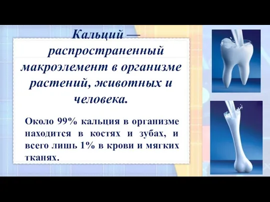 Кальций — распространенный макроэлемент в организме растений, животных и человека. Около 99% кальция