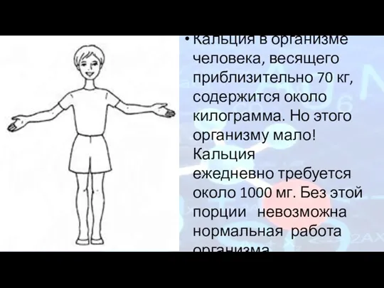 Кальция в организме человека, весящего приблизительно 70 кг, содержится около