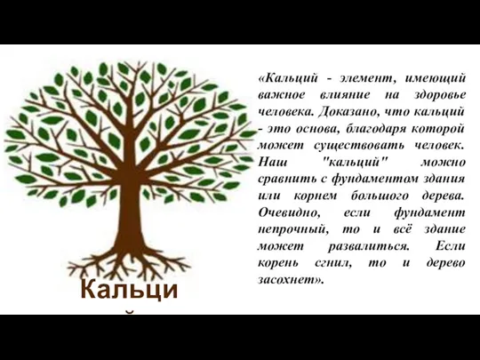 Кальций «Кальций - элемент, имеющий важное влияние на здоровье человека. Доказано, что кальций