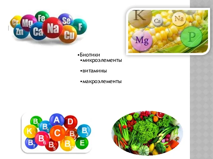 Биотики микроэлементы витамины макроэлементы