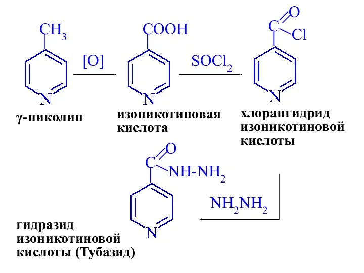 γ-пиколин [O] изоникотиновая кислота SOCl2 хлорангидрид изоникотиновой кислоты NH2NH2 гидразид изоникотиновой кислоты (Тубазид)