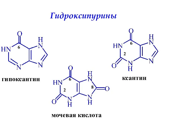 Гидроксипурины 8 2 6 6 6 2 гипоксантин ксантин мочевая кислота