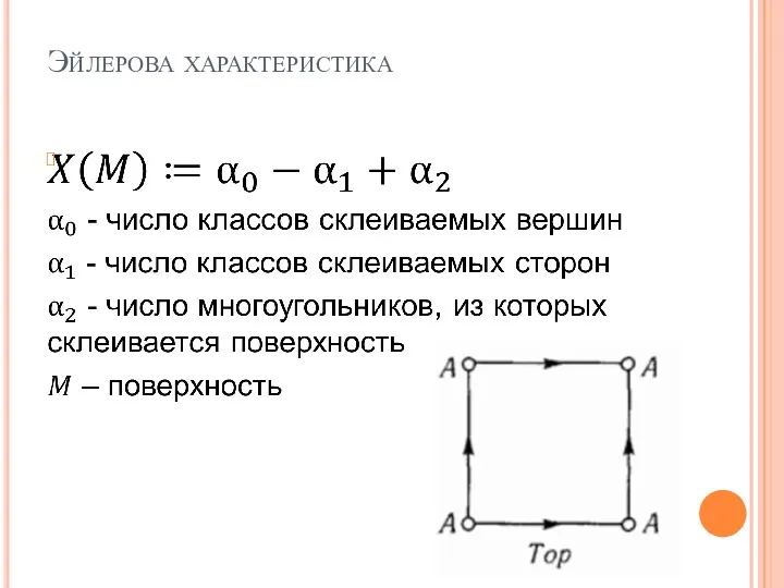 Эйлерова характеристика