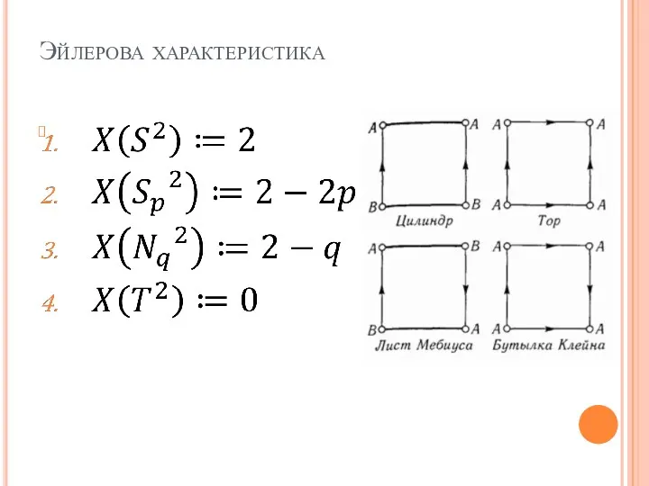 Эйлерова характеристика