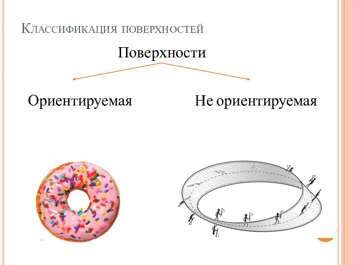 Классификация поверхностей Поверхности Ориентируемая Не ориентируемая