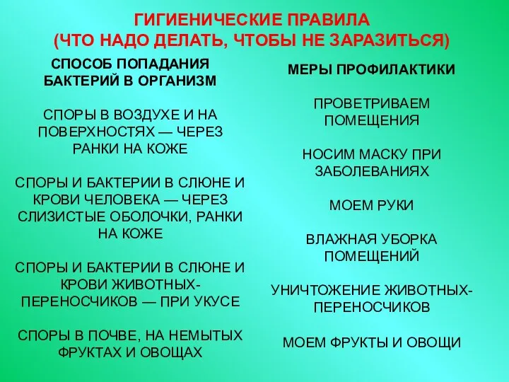 ГИГИЕНИЧЕСКИЕ ПРАВИЛА (ЧТО НАДО ДЕЛАТЬ, ЧТОБЫ НЕ ЗАРАЗИТЬСЯ) СПОСОБ ПОПАДАНИЯ