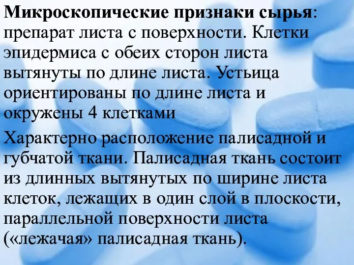 Микроскопические признаки сырья: препарат листа с поверхности. Клетки эпидермиса с