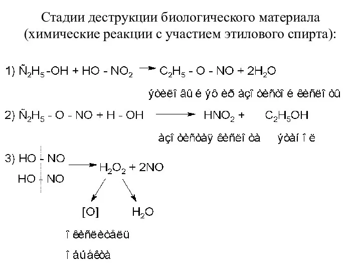Стадии деструкции биологического материала (химические реакции с участием этилового спирта):