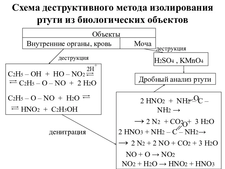 Схема деструктивного метода изолирования ртути из биологических объектов Объекты Внутренние