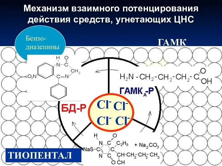 ГАМК ГАЛОТАН ГАМК ТИОПЕНТАЛ Сl- Сl- Сl- Сl- Механизм взаимного потенцирования действия средств, угнетающих ЦНС Бензо-диазепины