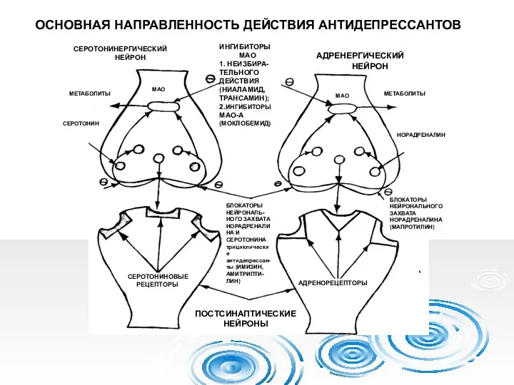 ОСНОВНАЯ НАПРАВЛЕННОСТЬ ДЕЙСТВИЯ АНТИДЕПРЕССАНТОВ