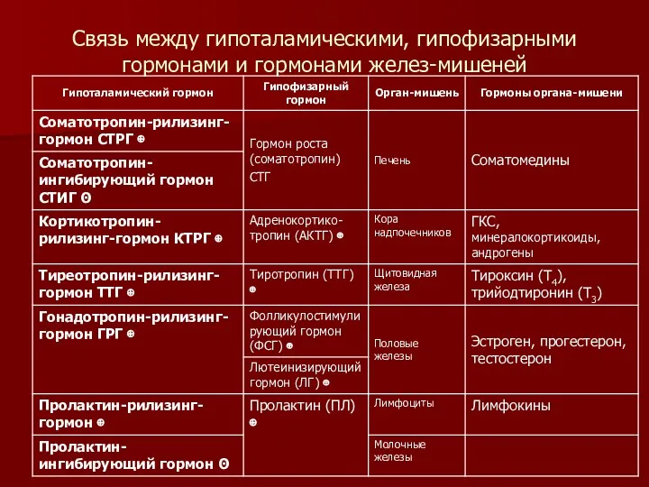 Связь между гипоталамическими, гипофизарными гормонами и гормонами желез-мишеней