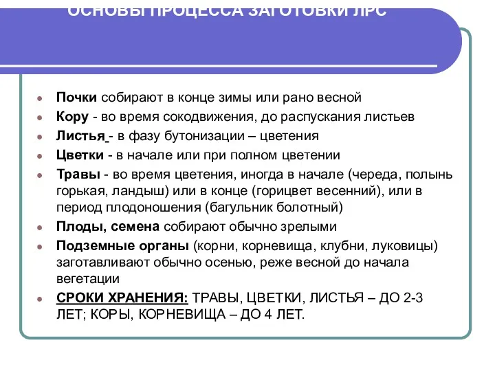 ОСНОВЫ ПРОЦЕССА ЗАГОТОВКИ ЛРС Почки собирают в конце зимы или