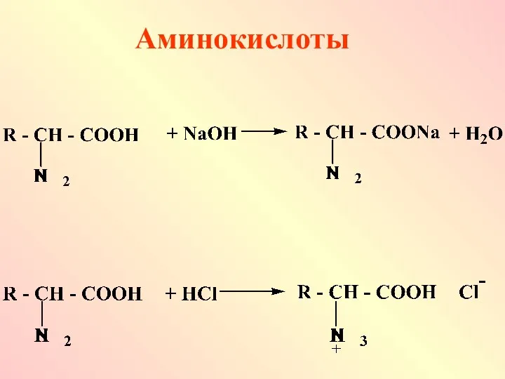 Аминокислоты