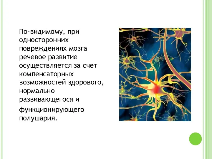 По-видимому, при односторонних повреждениях мозга речевое развитие осуществляется за счет