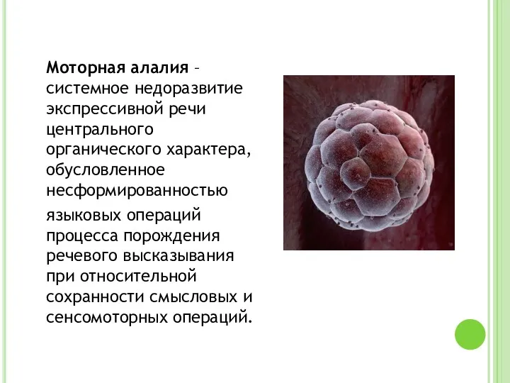 Моторная алалия – системное недоразвитие экспрессивной речи центрального органического характера,