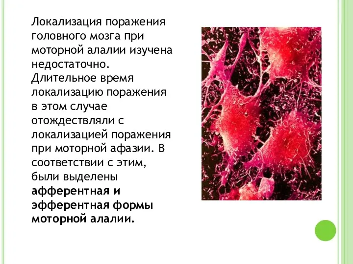 Локализация поражения головного мозга при моторной алалии изучена недостаточно. Длительное