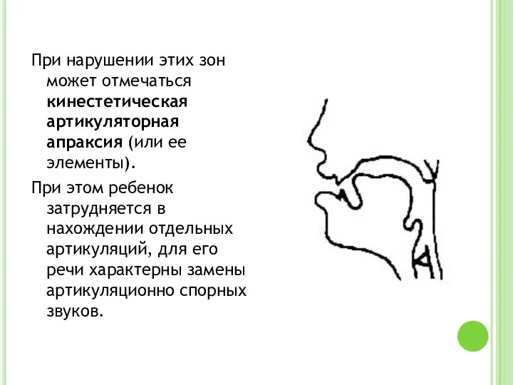 При нарушении этих зон может отмечаться кинестетическая артикуляторная апраксия (или