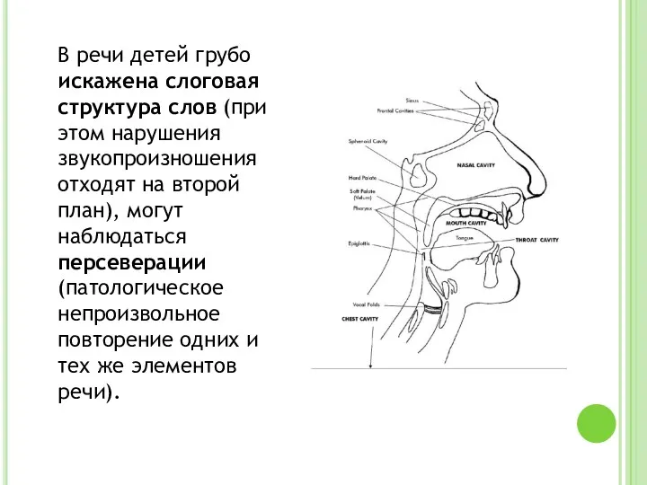 В речи детей грубо искажена слоговая структура слов (при этом