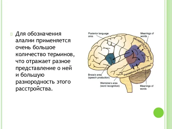 Для обозначения алалии применяется очень большое количество терминов, что отражает