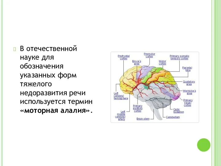 В отечественной науке для обозначения указанных форм тяжелого недоразвития речи используется термин «моторная алалия».