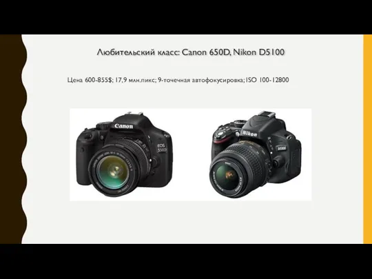 Любительский класс: Canon 650D, Nikon D5100 Цена 600-855$; 17,9 млн.пикс; 9-точечная автофокусировка; ISO 100-12800