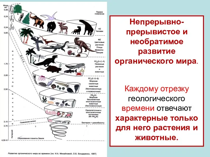 Непрерывно-прерывистое и необратимое развитие органического мира. Каждому отрезку геологического времени