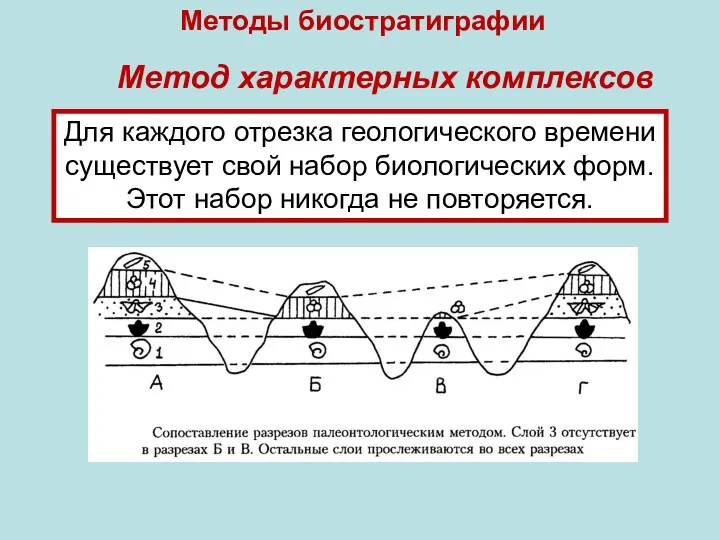 Методы биостратиграфии Для каждого отрезка геологического времени существует свой набор