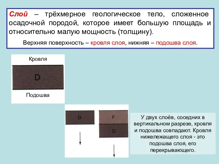 Слой – трёхмерное геологическое тело, сложенное осадочной породой, которое имеет