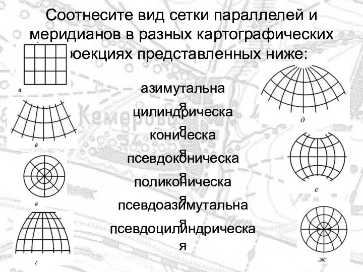 Соотнесите вид сетки параллелей и меридианов в разных картографических проекциях