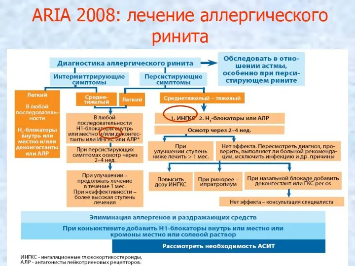 ARIA 2008: лечение аллергического ринита