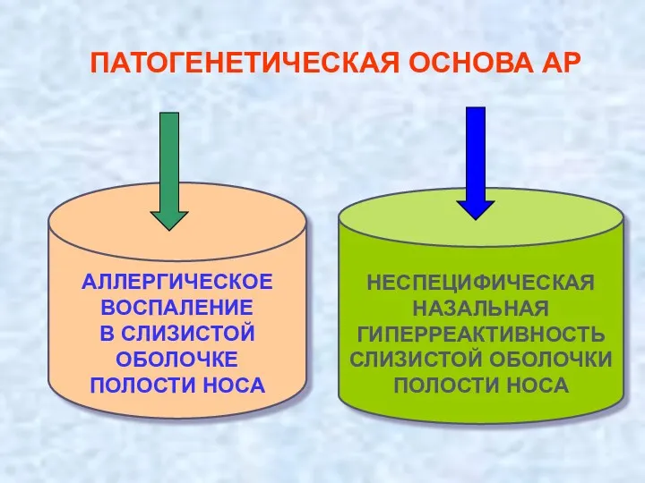 ПАТОГЕНЕТИЧЕСКАЯ ОСНОВА АР АЛЛЕРГИЧЕСКОЕ ВОСПАЛЕНИЕ В СЛИЗИСТОЙ ОБОЛОЧКЕ ПОЛОСТИ НОСА