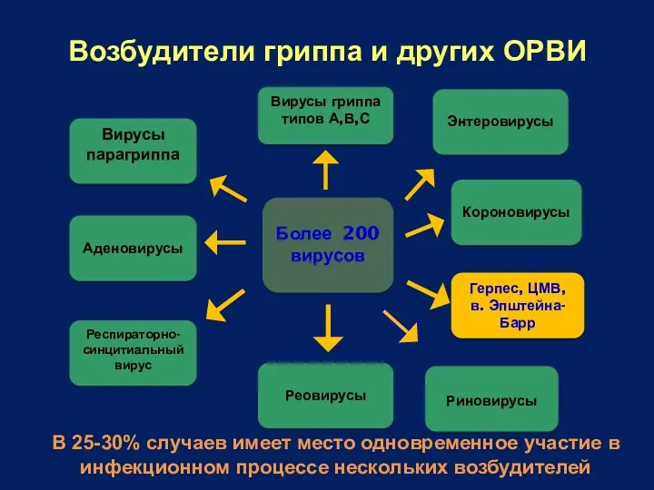 Возбудители гриппа и других ОРВИ Более 200 вирусов Вирусы гриппа