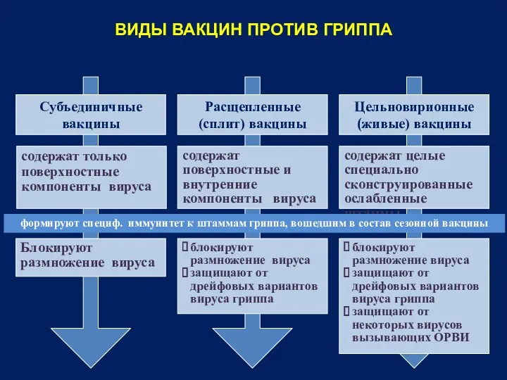 ВИДЫ ВАКЦИН ПРОТИВ ГРИППА Субъединичные вакцины Цельновирионные (живые) вакцины Расщепленные