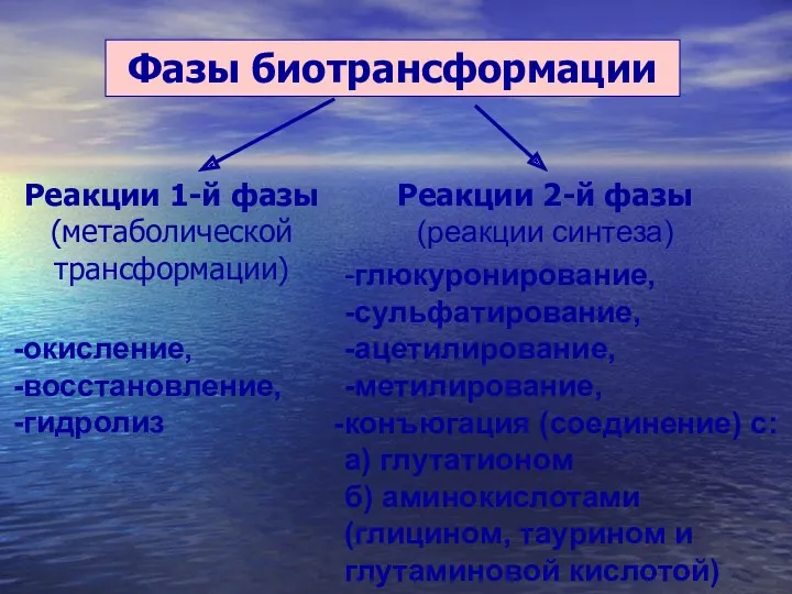 Фазы биотрансформации Реакции 1-й фазы (метаболической трансформации) Реакции 2-й фазы