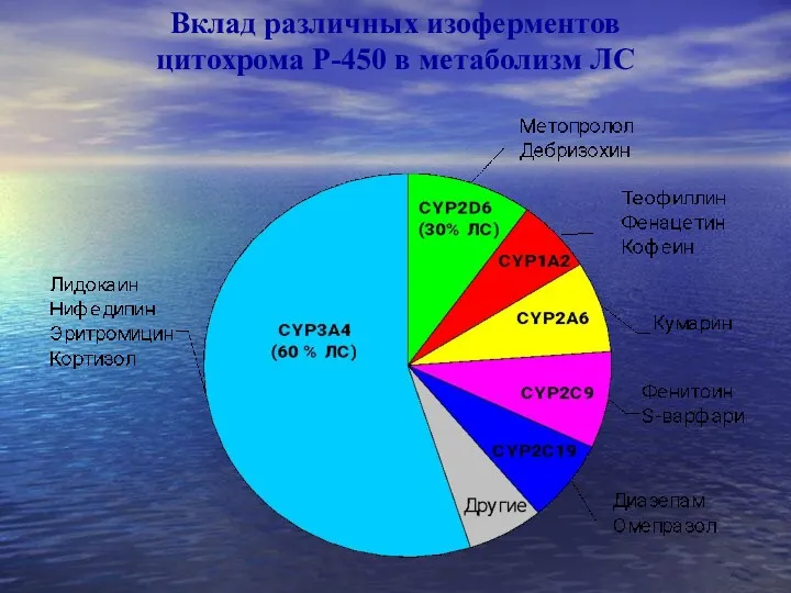 Вклад различных изоферментов цитохрома Р-450 в метаболизм ЛС