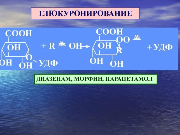 ГЛЮКУРОНИРОВАНИЕ ДИАЗЕПАМ, МОРФИН, ПАРАЦЕТАМОЛ