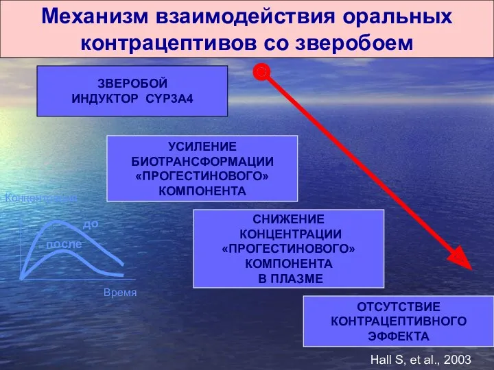 Механизм взаимодействия оральных контрацептивов со зверобоем ЗВЕРОБОЙ ИНДУКТОР CYP3A4 УСИЛЕНИЕ