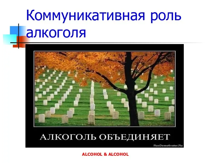 Коммуникативная роль алкоголя ALCOHOL & ALCOHOL