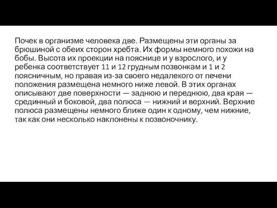 Почек в организме человека две. Размещены эти органы за брюшиной с обеих сторон