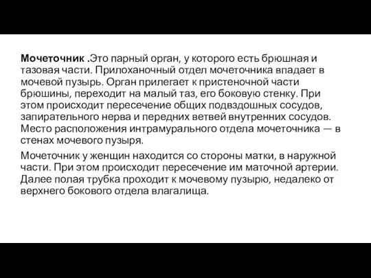 Мочеточник .Это парный орган, у которого есть брюшная и тазовая части. Прилоханочный отдел