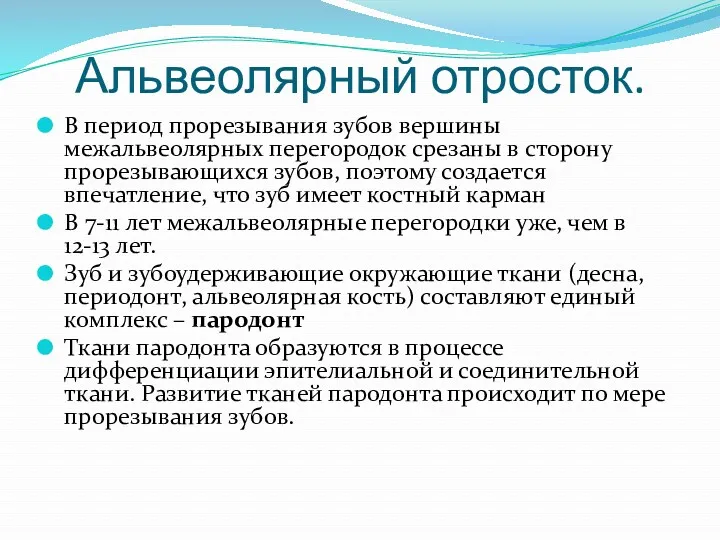 Альвеолярный отросток. В период прорезывания зубов вершины межальвеолярных перегородок срезаны в сторону прорезывающихся