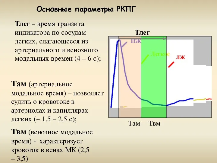 Тлег – время транзита индикатора по сосудам легких, слагающееся из