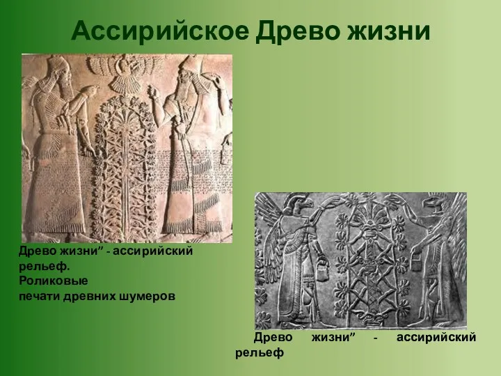 Ассирийское Древо жизни Древо жизни” - ассирийский рельеф. Роликовые печати древних шумеров Древо