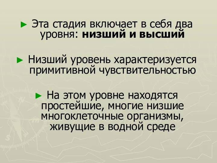 Эта стадия включает в себя два уровня: низший и высший