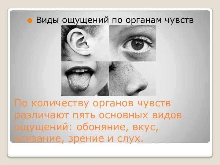 По количеству органов чувств различают пять основных видов ощущений: обоняние, вкус, осязание, зрение