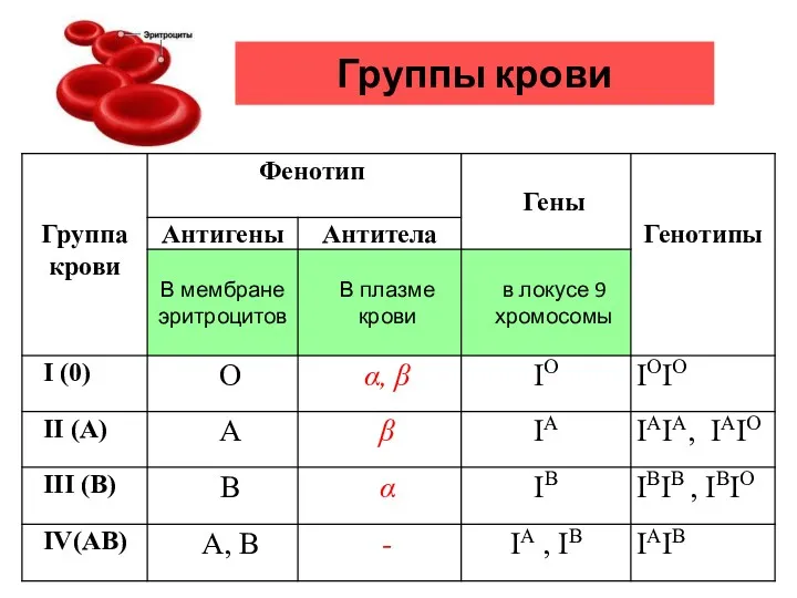 Группы крови