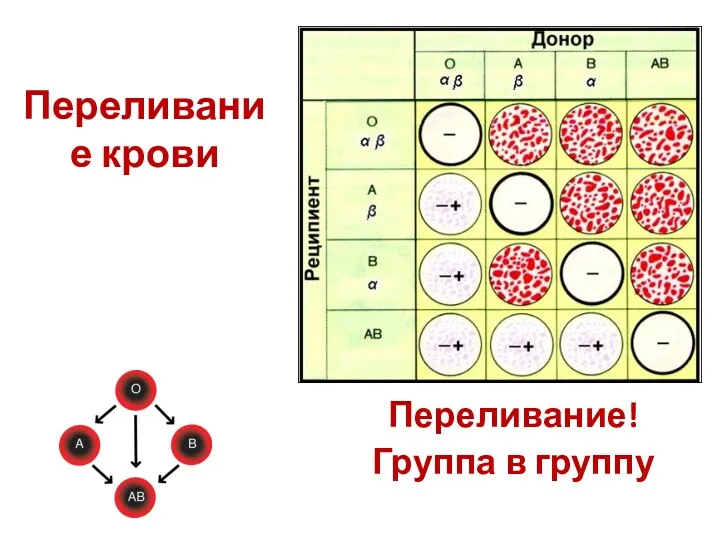 Переливание крови Переливание! Группа в группу